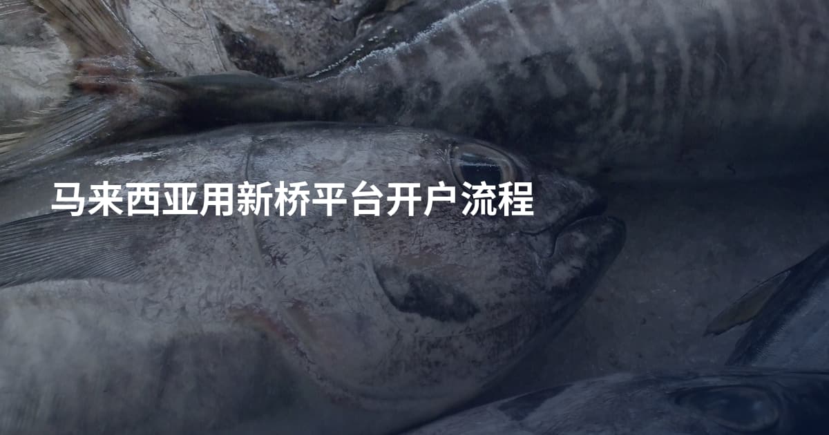 马来西亚用新桥平台开户流程