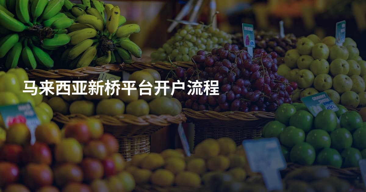 马来西亚新桥平台开户流程