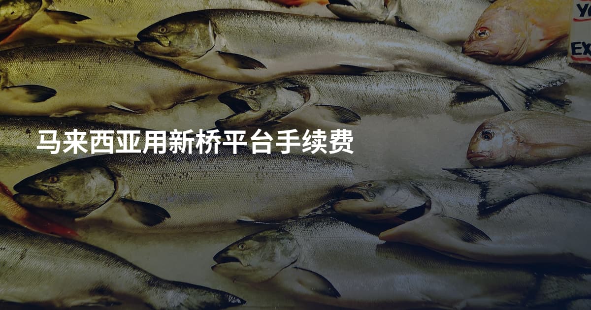 马来西亚用新桥平台手续费
