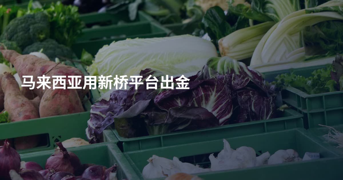 马来西亚用新桥平台出金