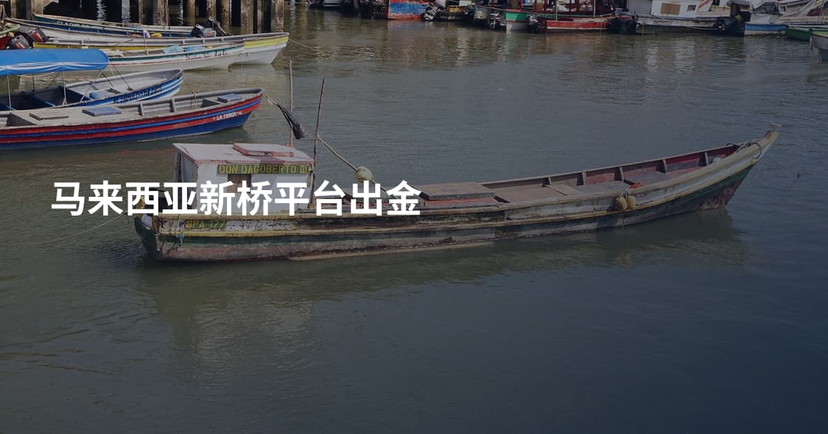 马来西亚新桥平台出金