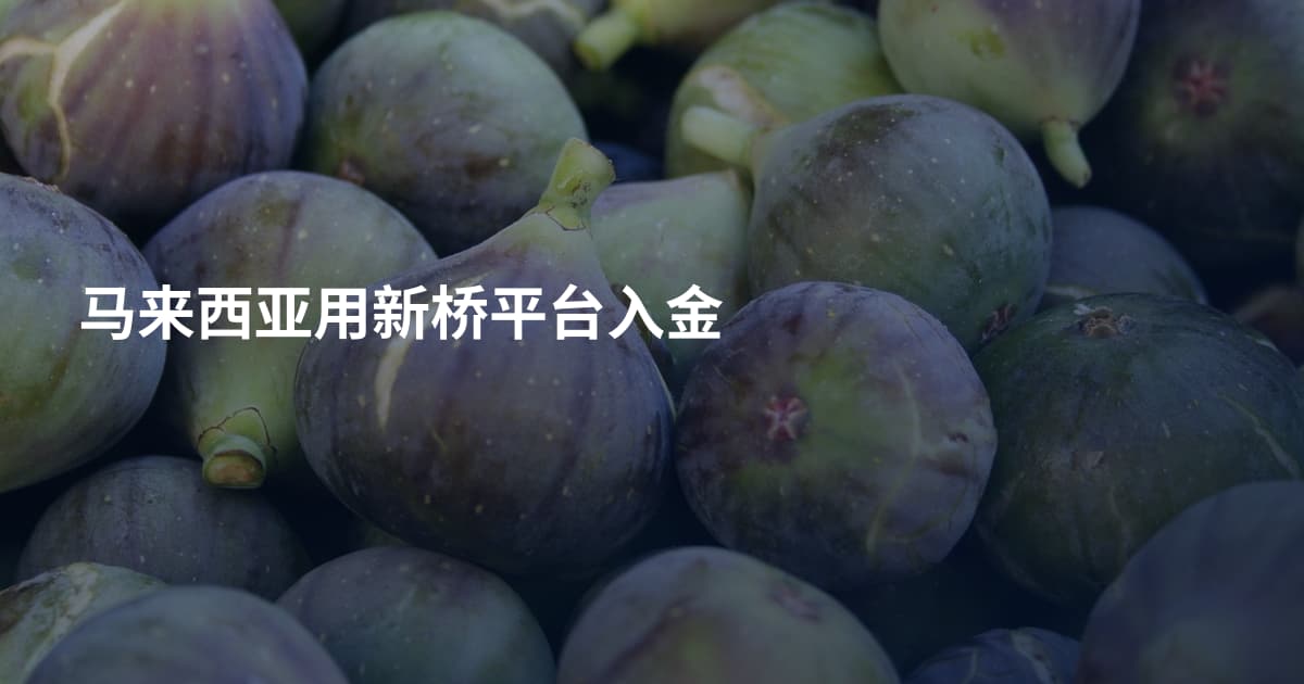 马来西亚用新桥平台入金