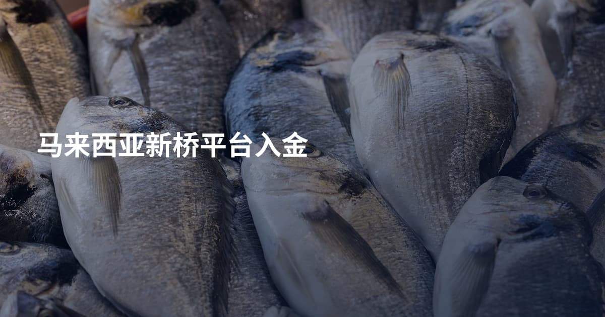 马来西亚新桥平台入金