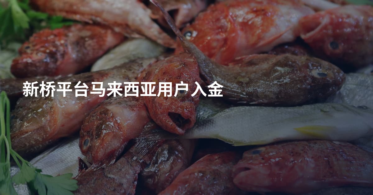 新桥平台马来西亚用户入金
