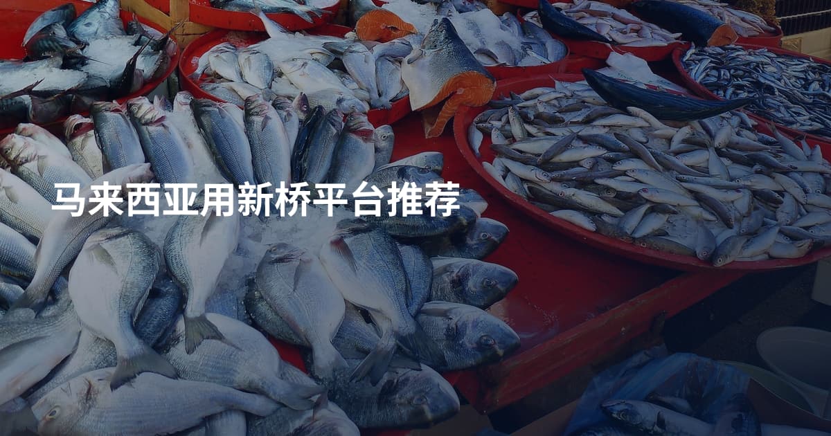 马来西亚用新桥平台推荐