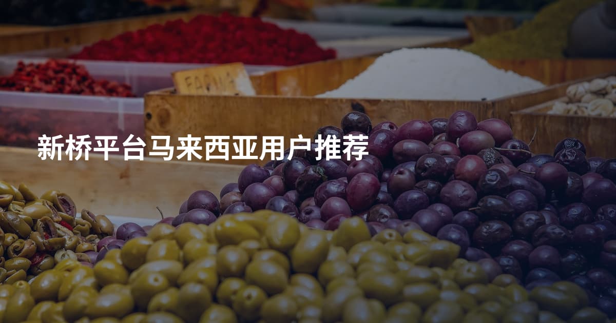 新桥平台马来西亚用户推荐