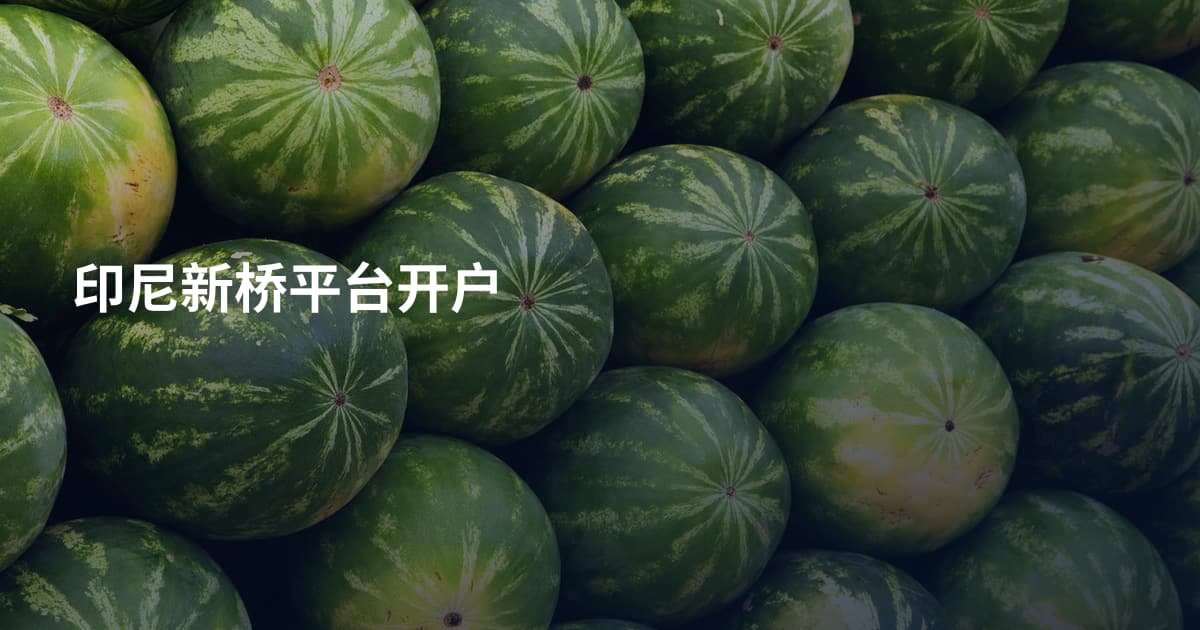 印尼新桥平台开户