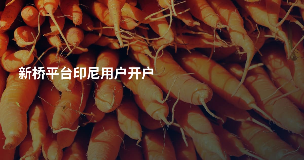 新桥平台印尼用户开户