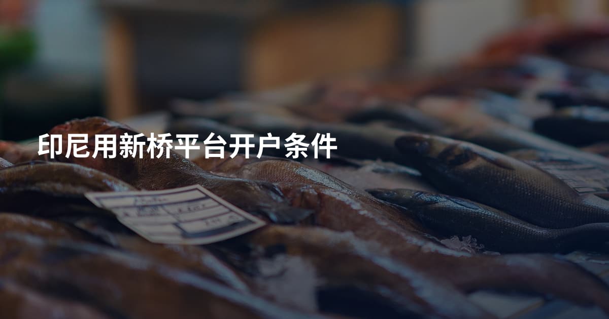 印尼用新桥平台开户条件