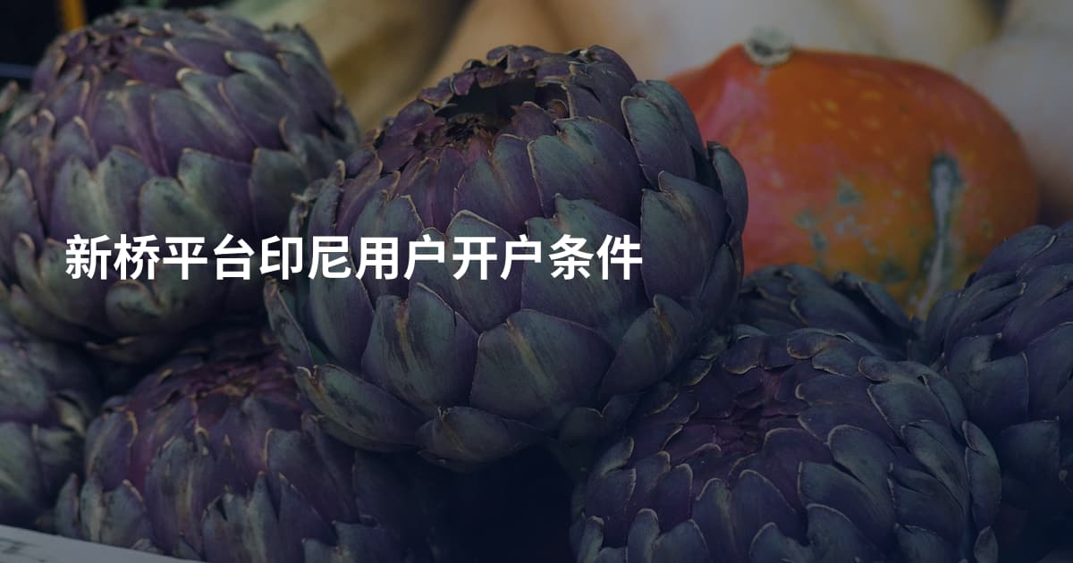新桥平台印尼用户开户条件