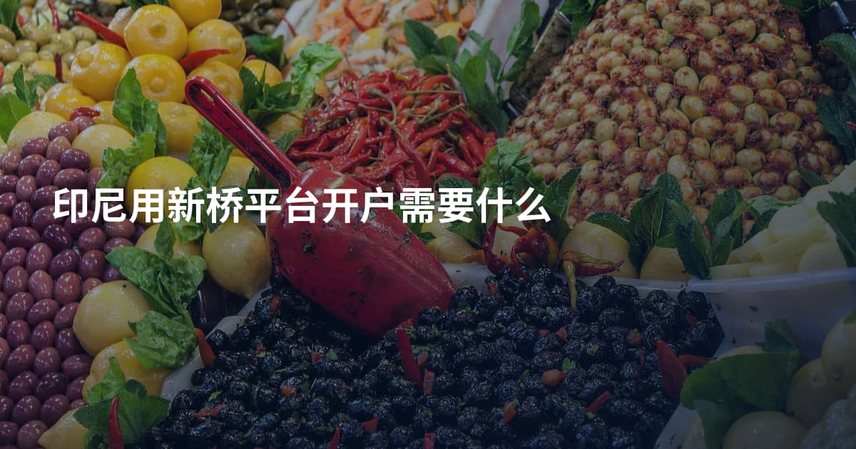 印尼用新桥平台开户需要什么