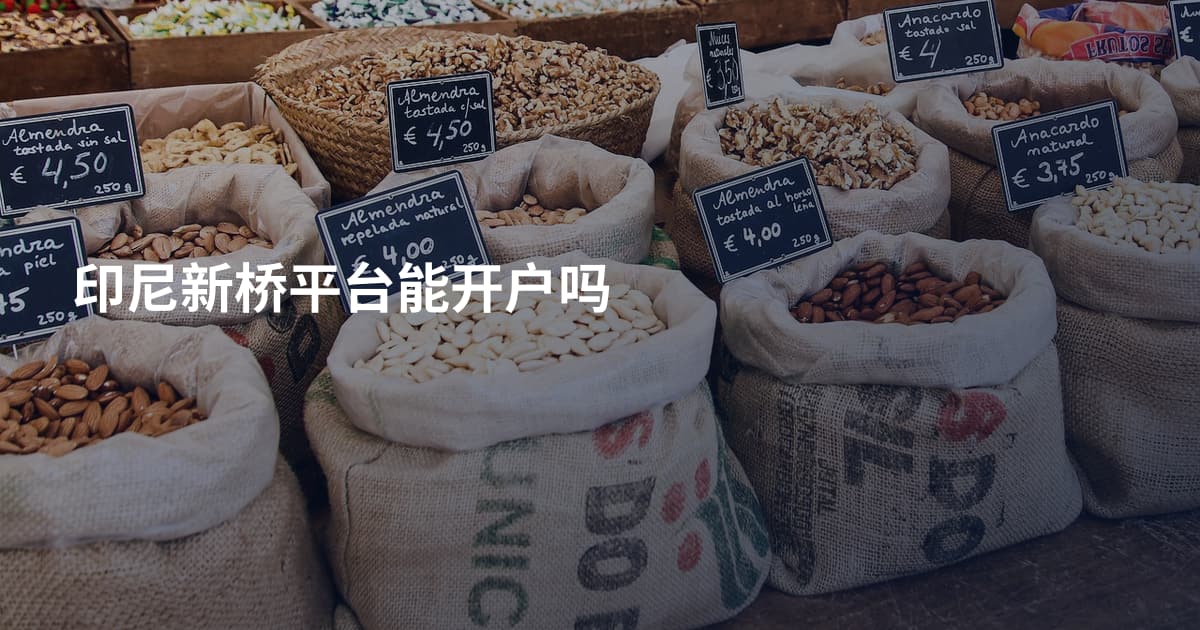 印尼新桥平台能开户吗