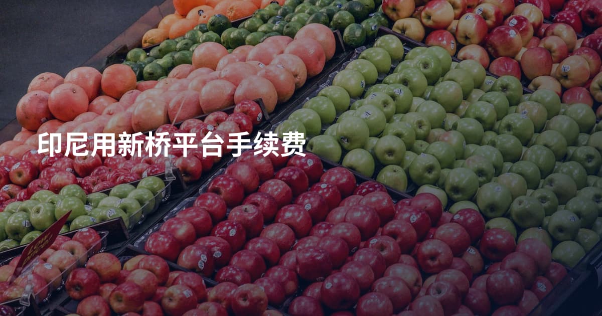 印尼用新桥平台手续费