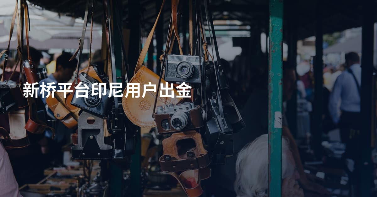 新桥平台印尼用户出金