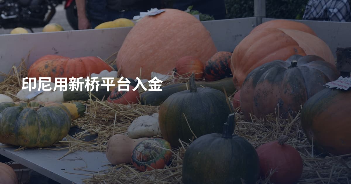 印尼用新桥平台入金