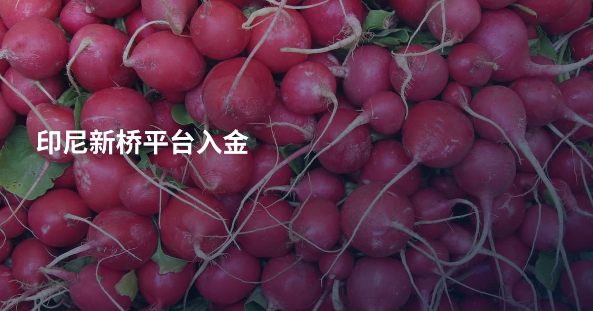印尼新桥平台入金