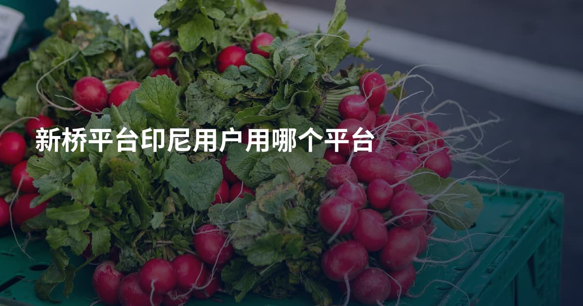 新桥平台印尼用户用哪个平台