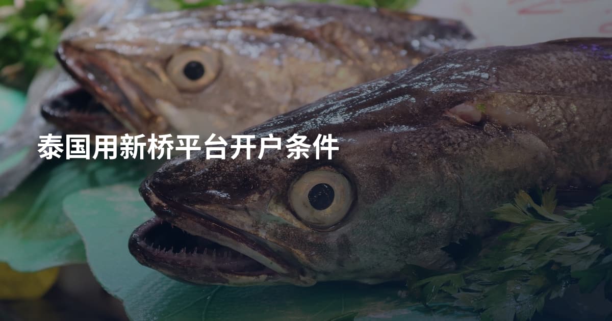 泰国用新桥平台开户条件