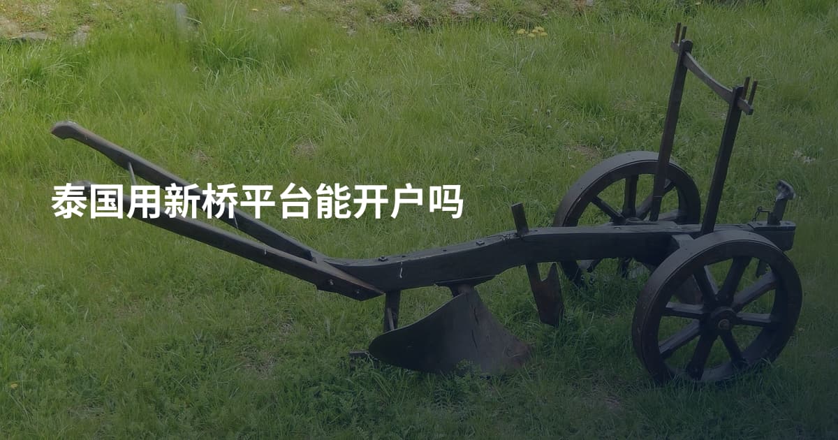 泰国用新桥平台能开户吗