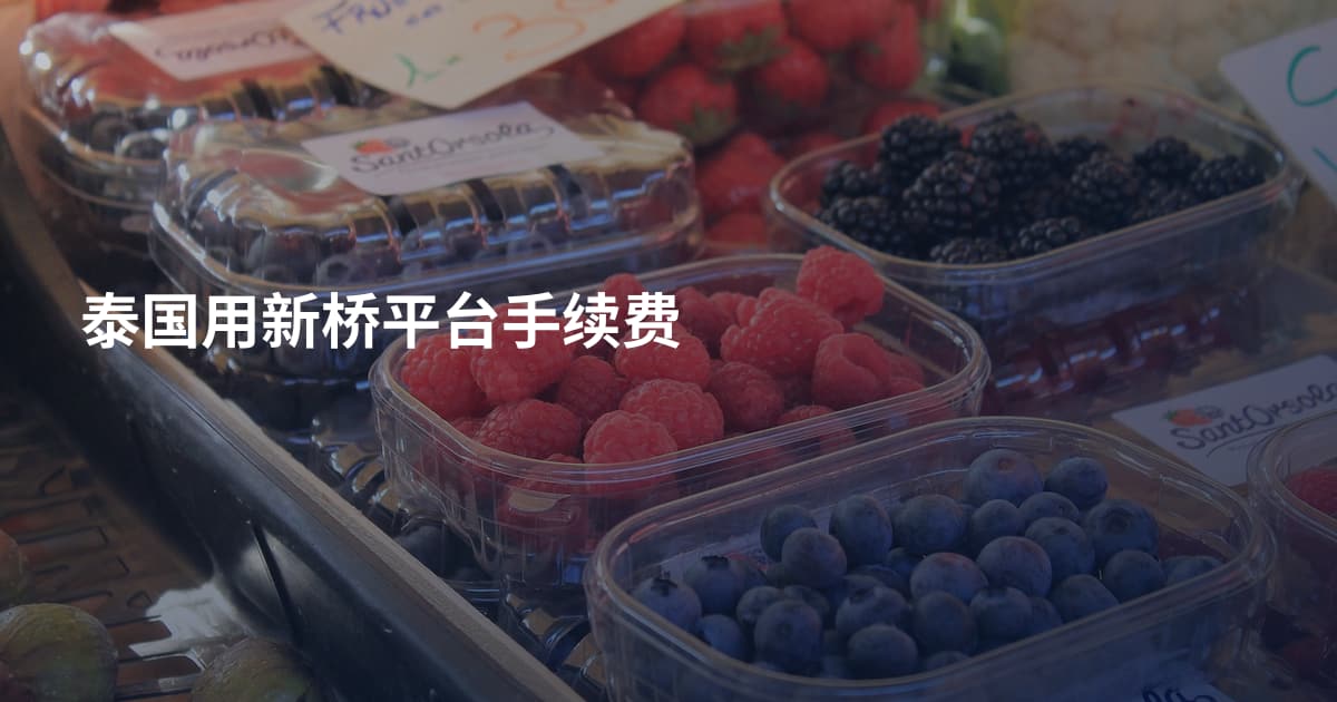 泰国用新桥平台手续费
