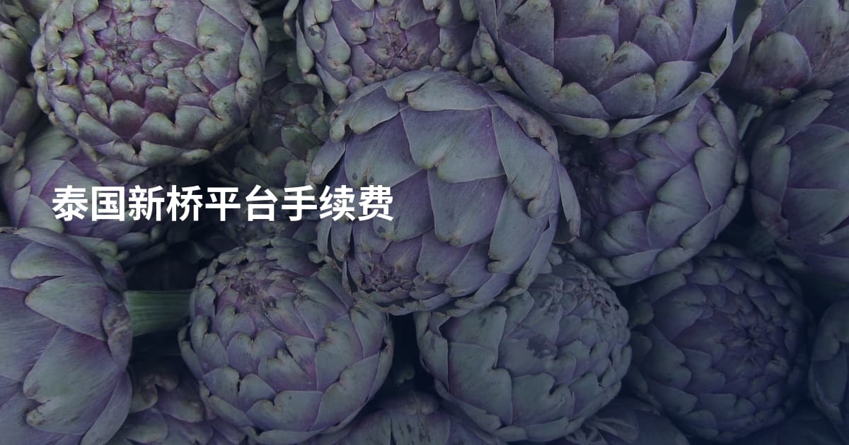 泰国新桥平台手续费