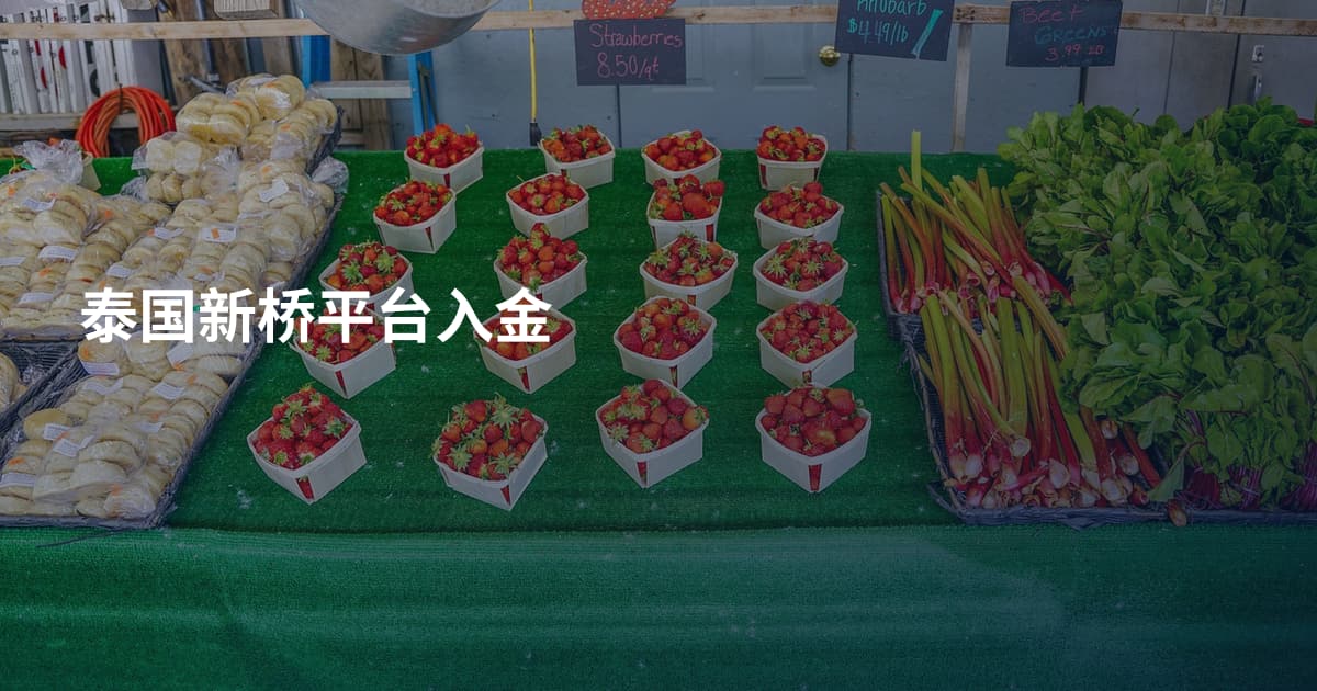 泰国新桥平台入金