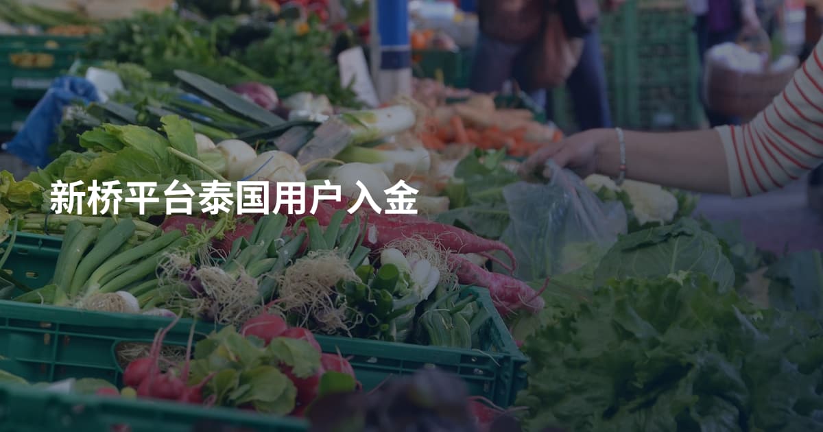新桥平台泰国用户入金