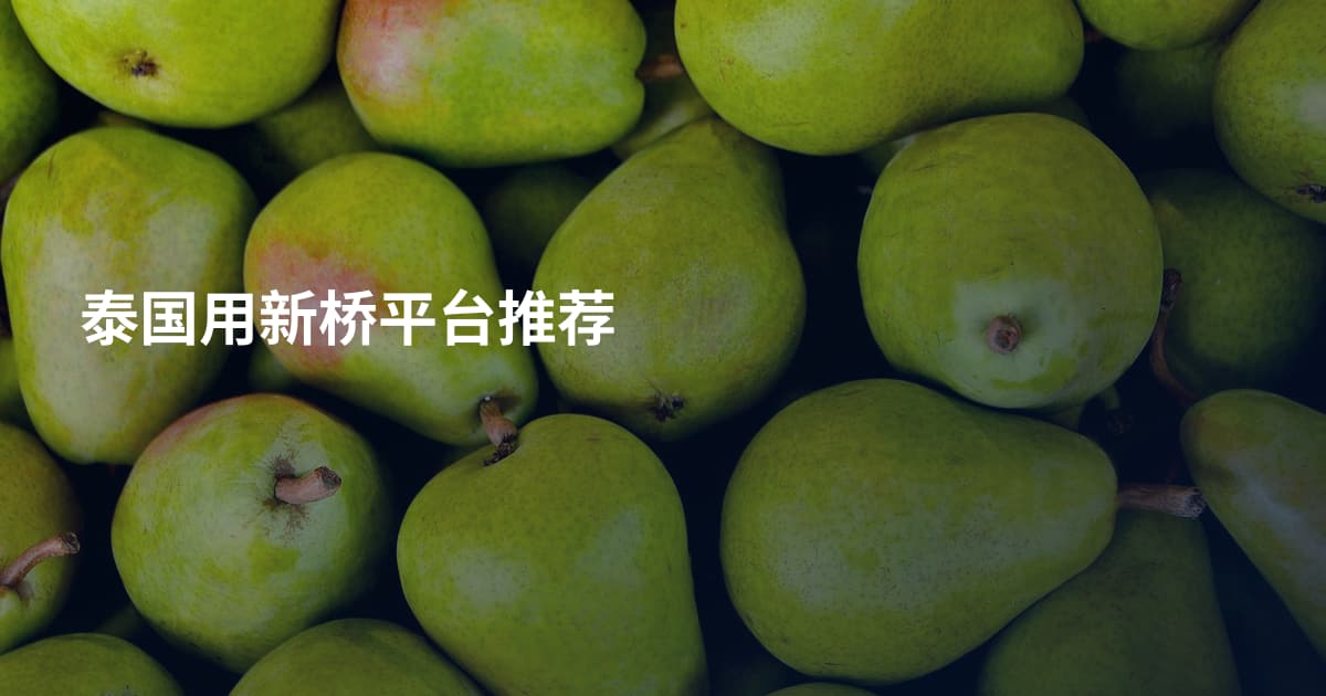 泰国用新桥平台推荐