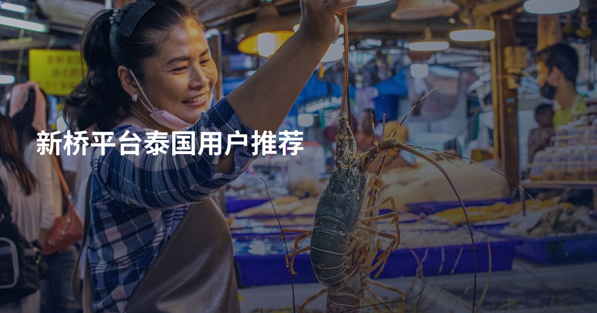 新桥平台泰国用户推荐