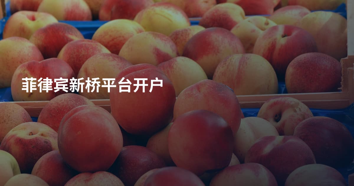 菲律宾新桥平台开户