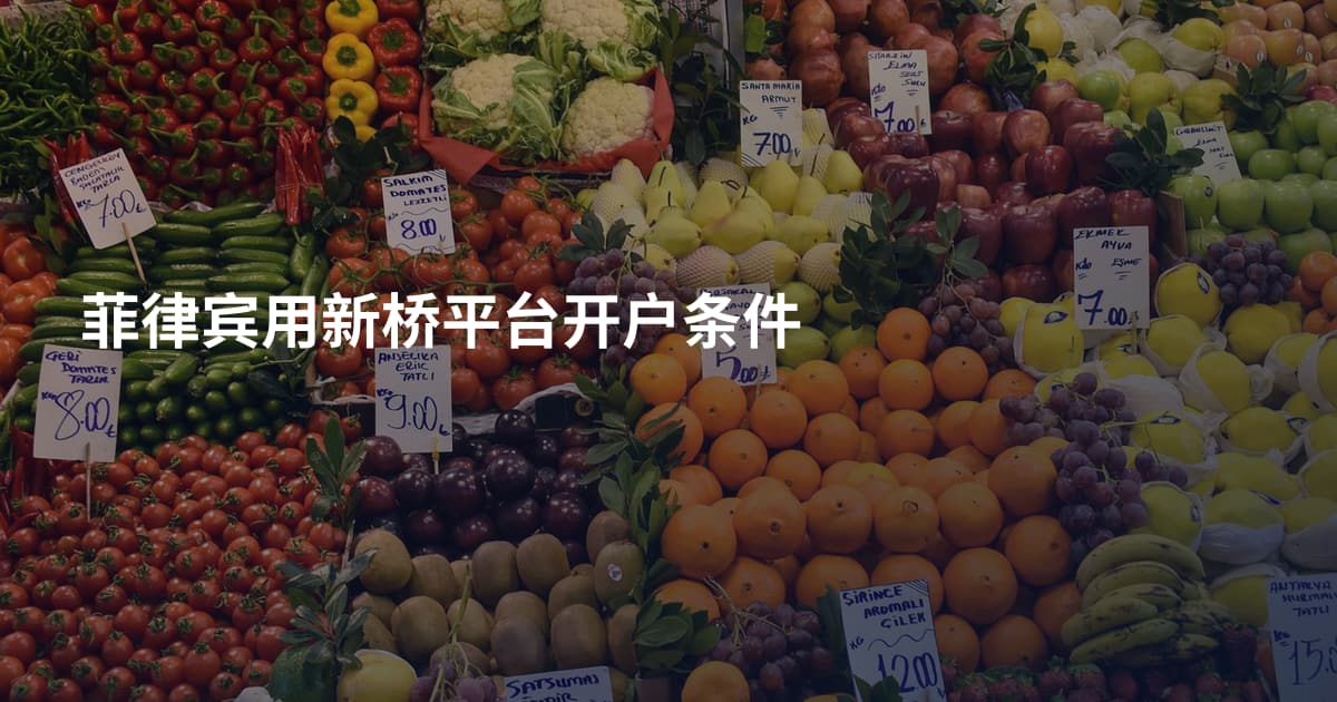 菲律宾用新桥平台开户条件
