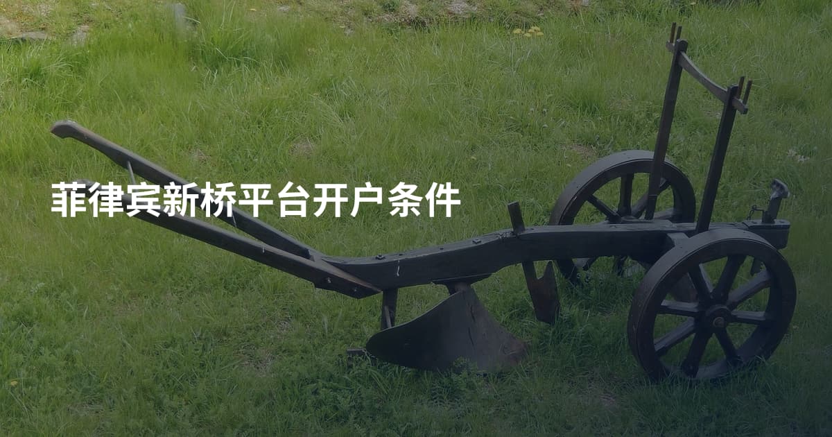 菲律宾新桥平台开户条件