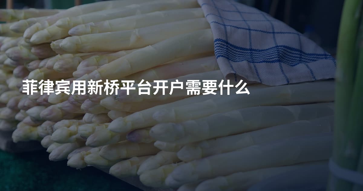 菲律宾用新桥平台开户需要什么