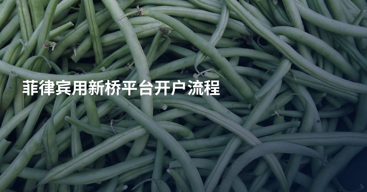 菲律宾用新桥平台开户流程