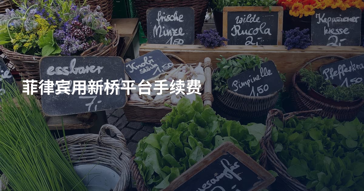 菲律宾用新桥平台手续费