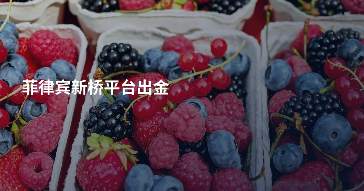 菲律宾新桥平台出金