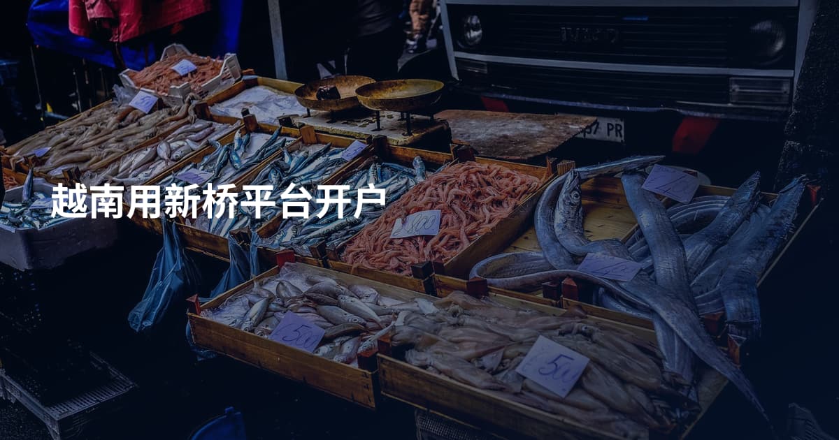 越南用新桥平台开户