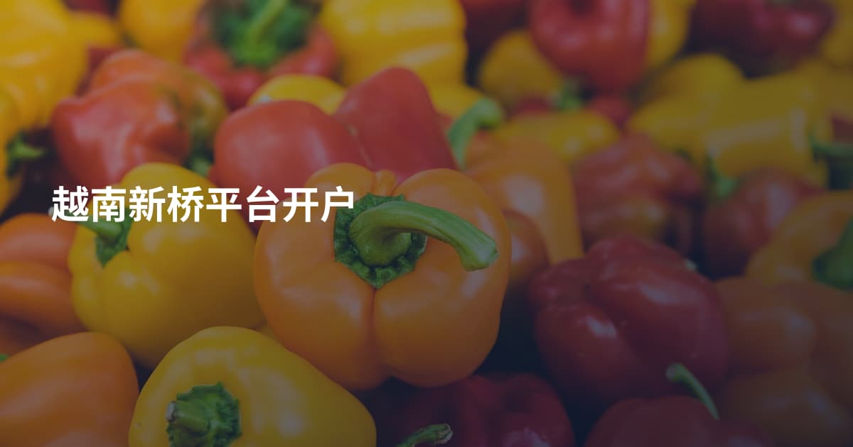 越南新桥平台开户
