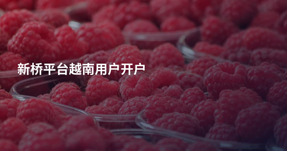 新桥平台越南用户开户