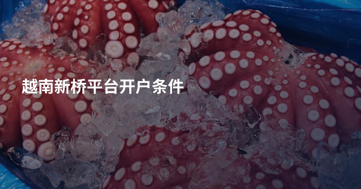 越南新桥平台开户条件