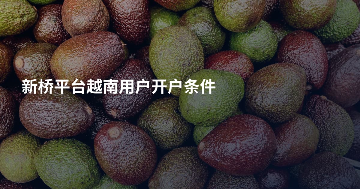 新桥平台越南用户开户条件