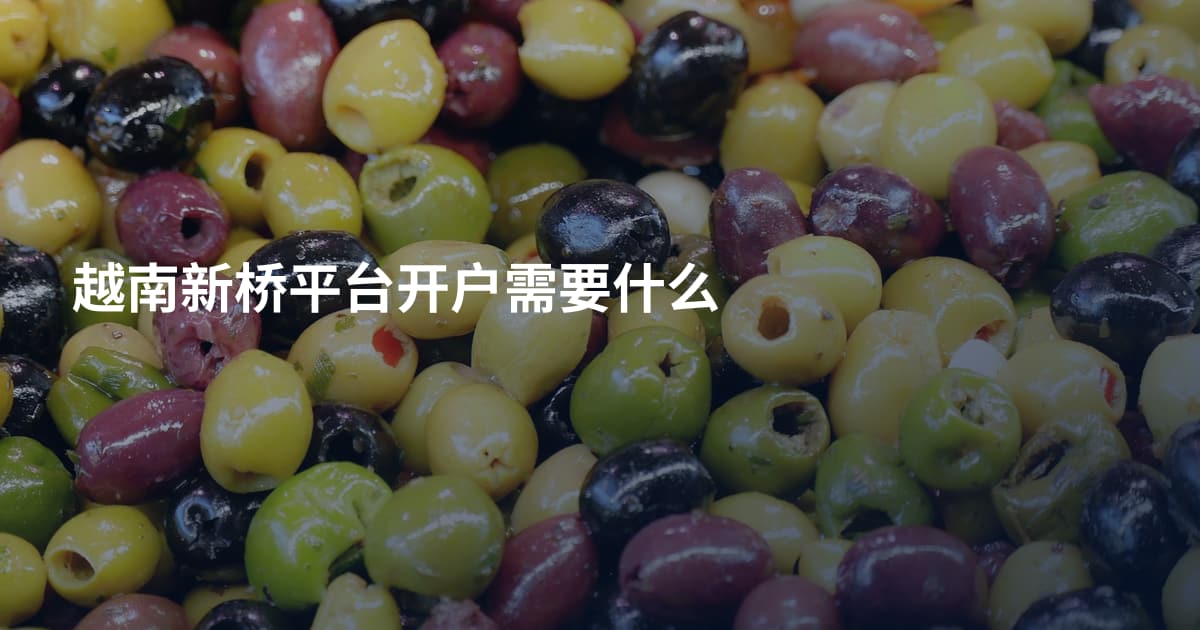 越南新桥平台开户需要什么