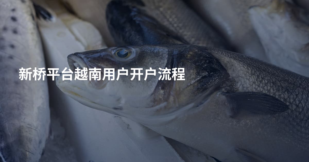 新桥平台越南用户开户流程