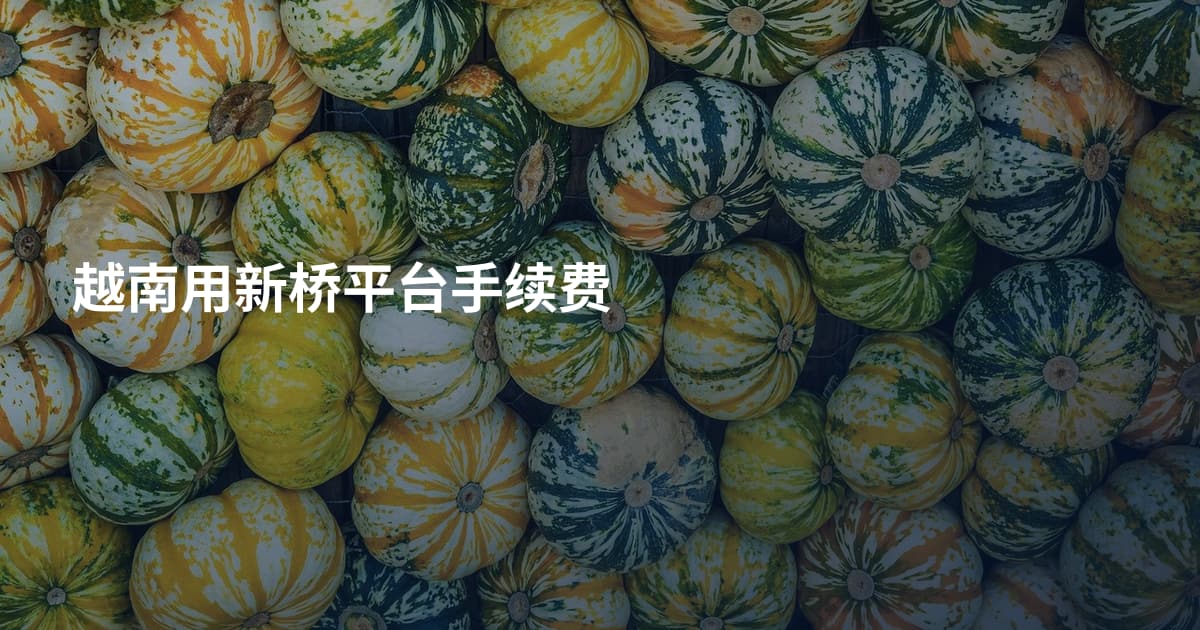 越南用新桥平台手续费