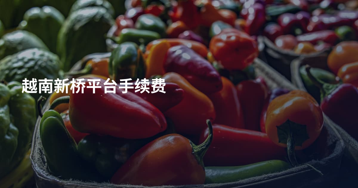 越南新桥平台手续费