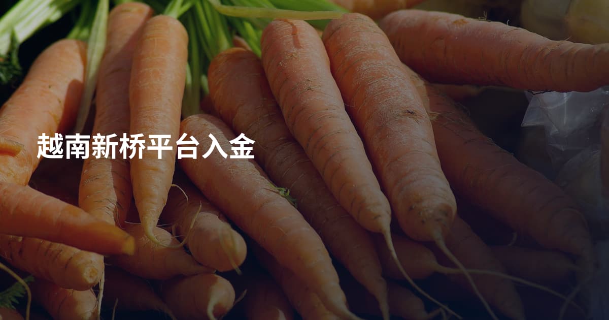 越南新桥平台入金