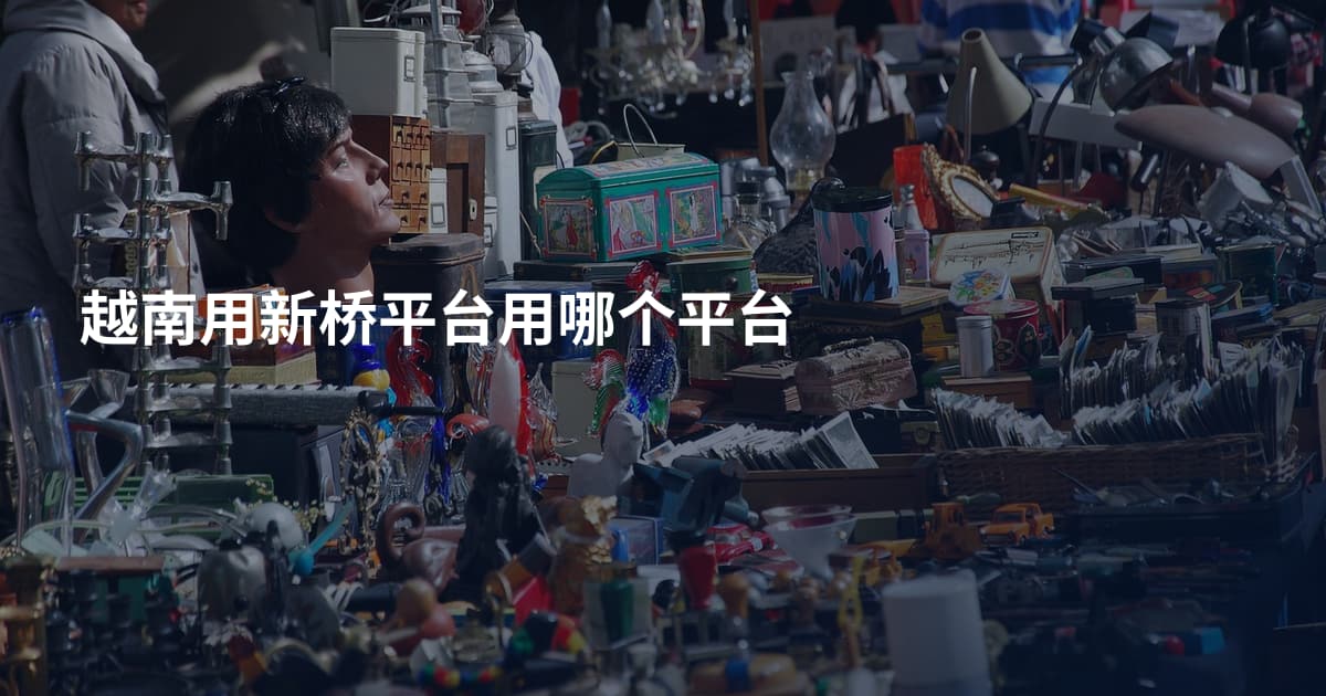 越南用新桥平台用哪个平台