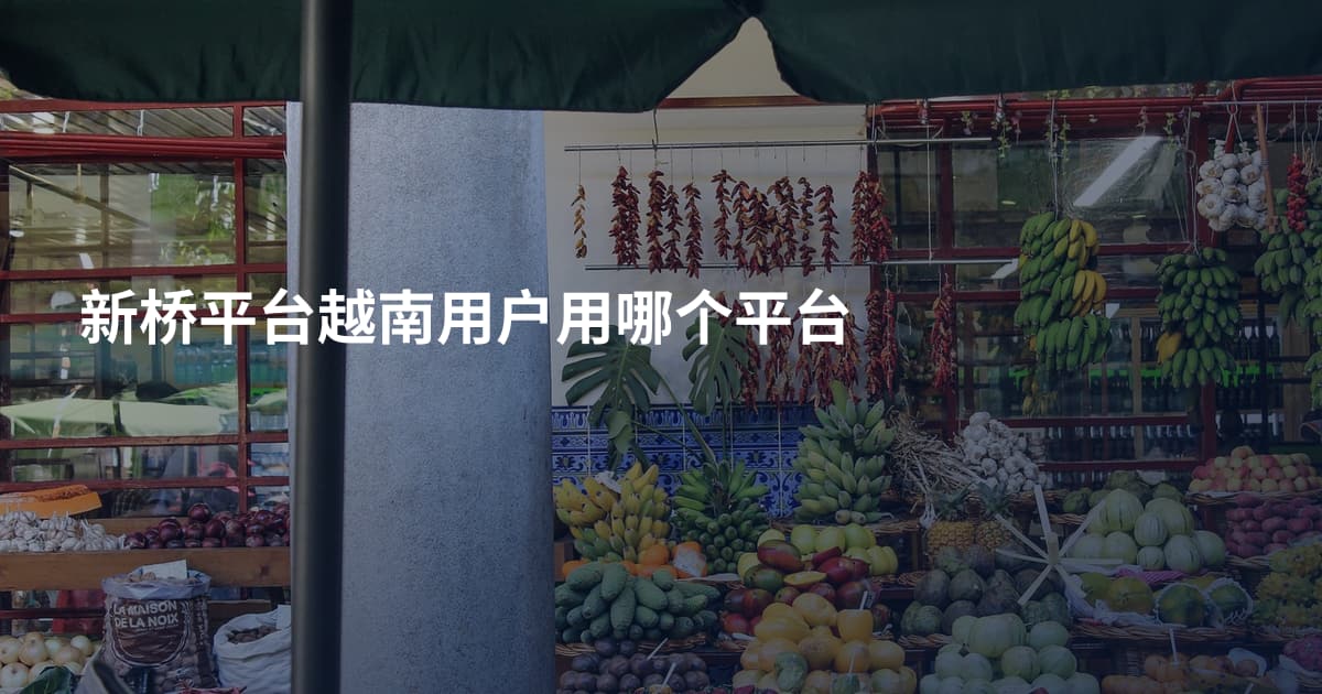 新桥平台越南用户用哪个平台
