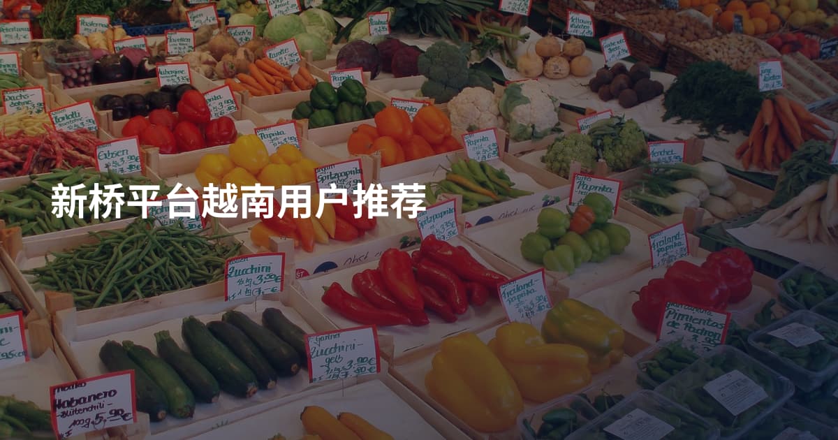 新桥平台越南用户推荐