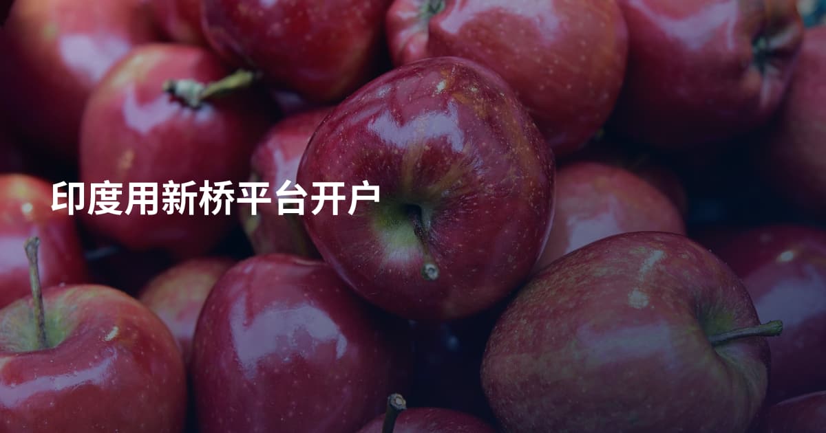 印度用新桥平台开户